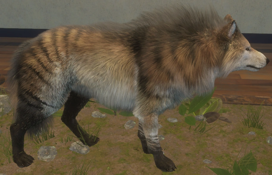 Fabled Razorwind rechte Seite