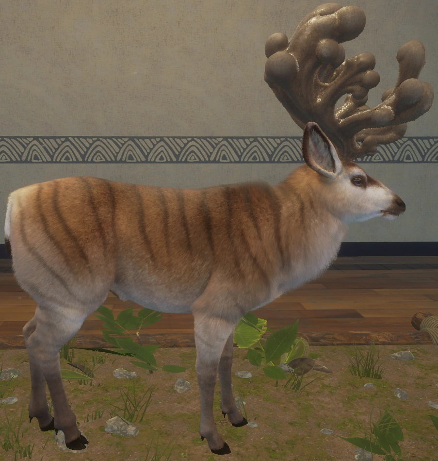 Maultierhirsch