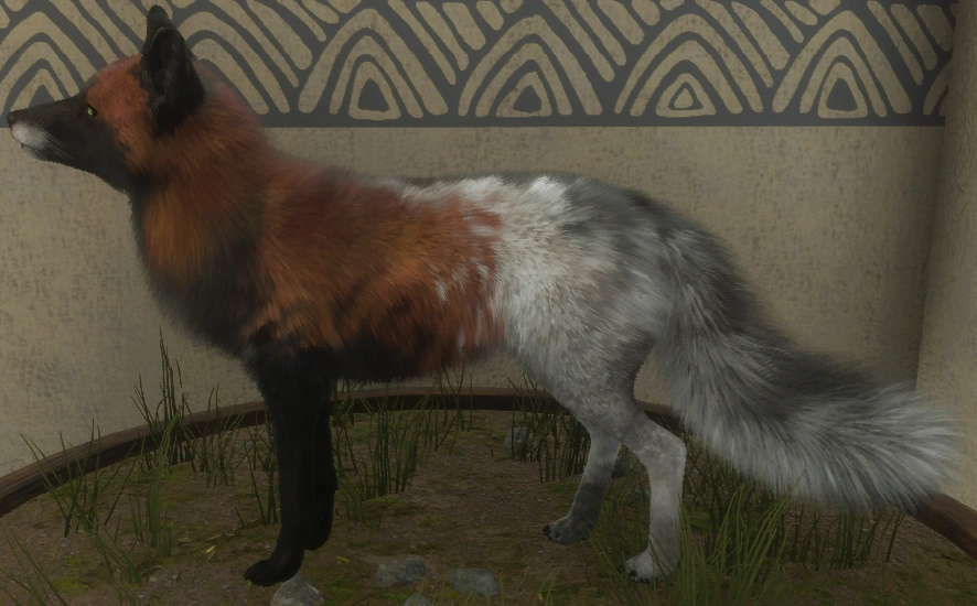 Rotfuchs