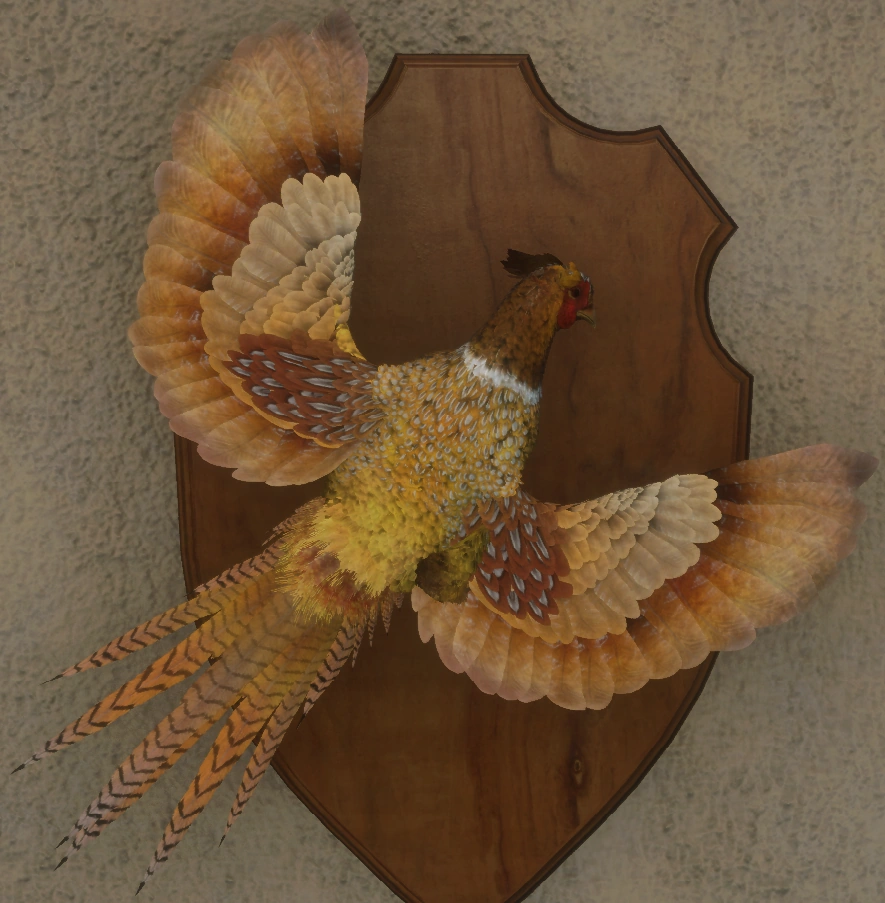 Ringfasan