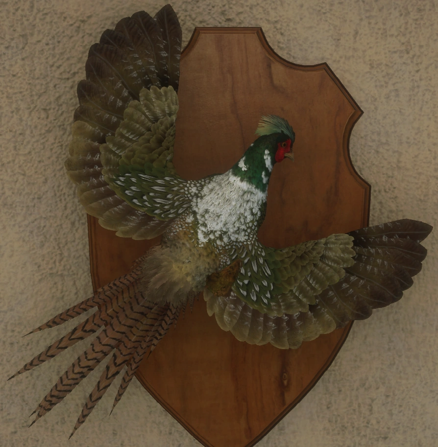 Fabled Emerald Back