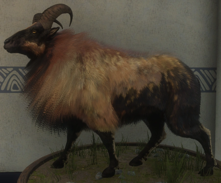Tahr