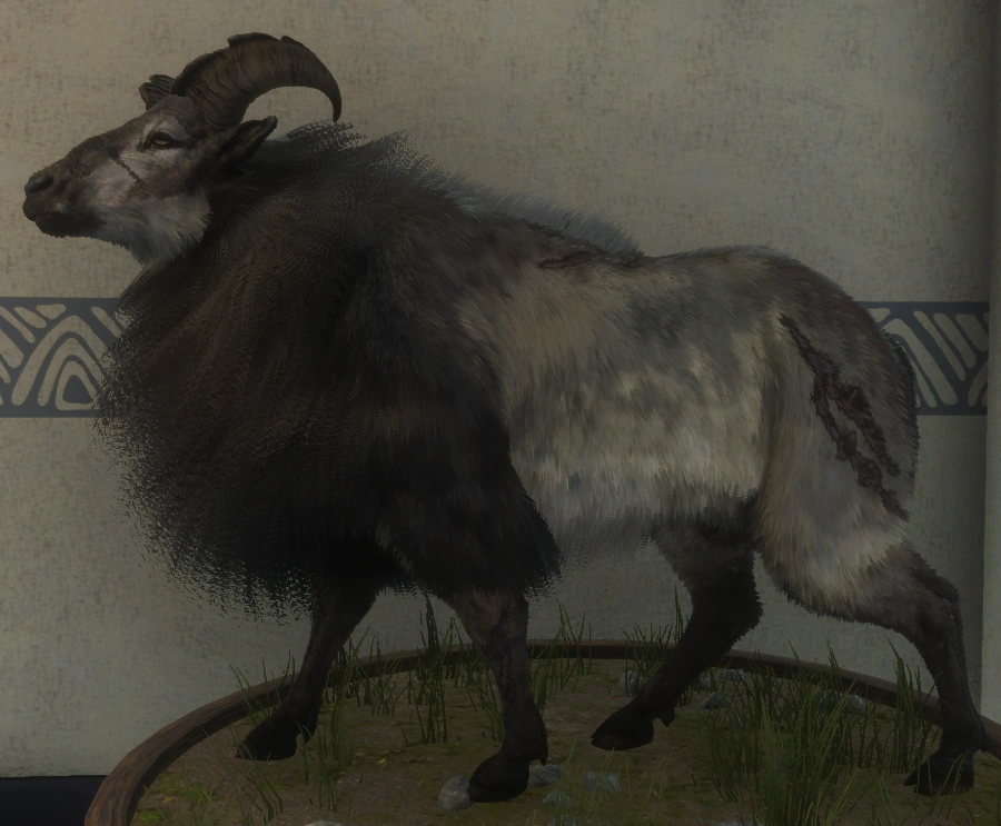 Fabled Scars linke Seite