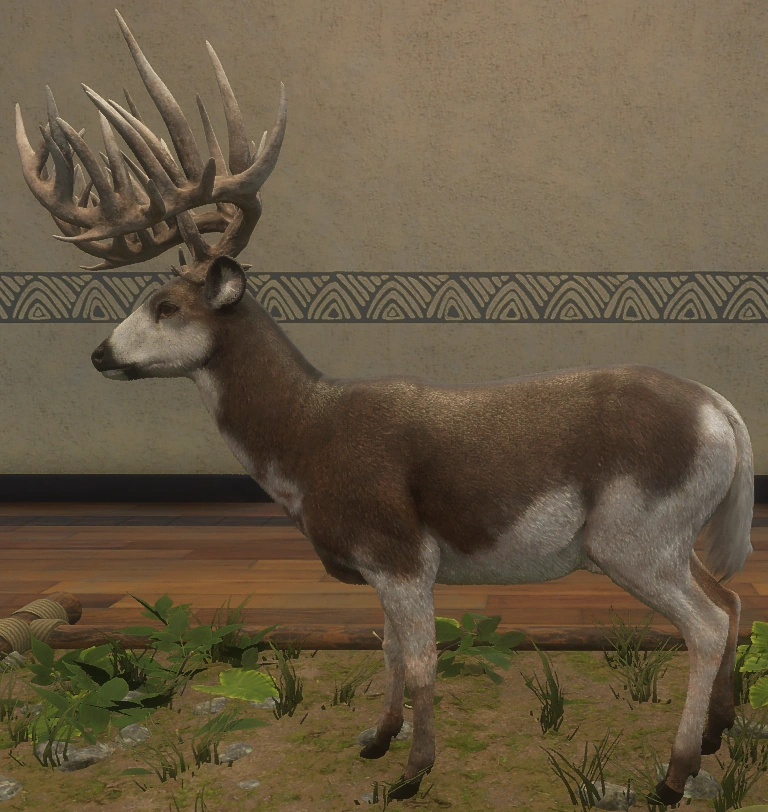Fabled Piebald linke Seite