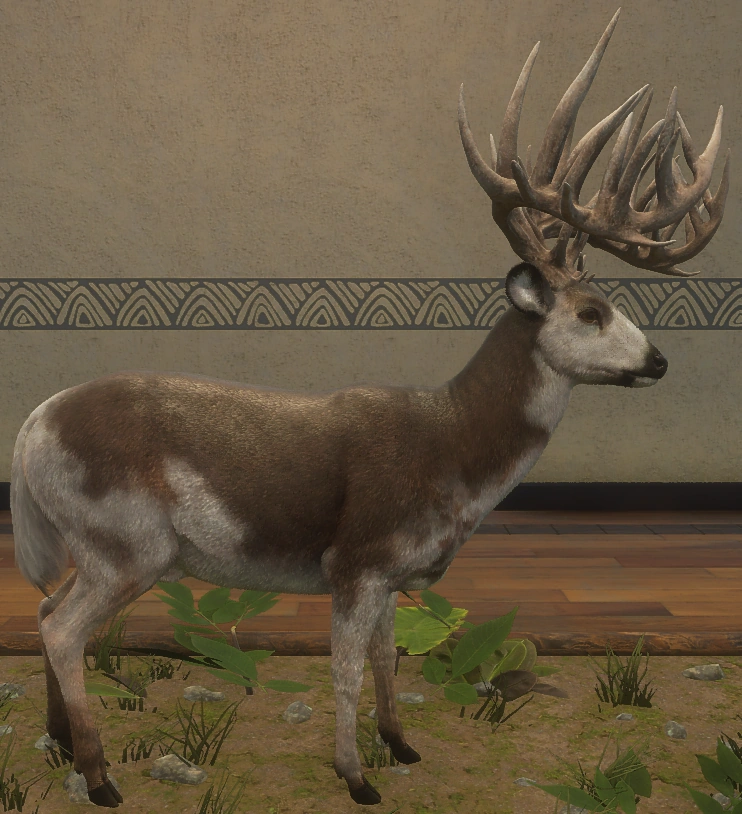 Fabled Piebald rechte Seite