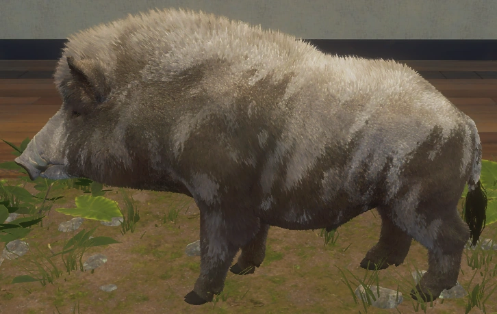 Wildschwein