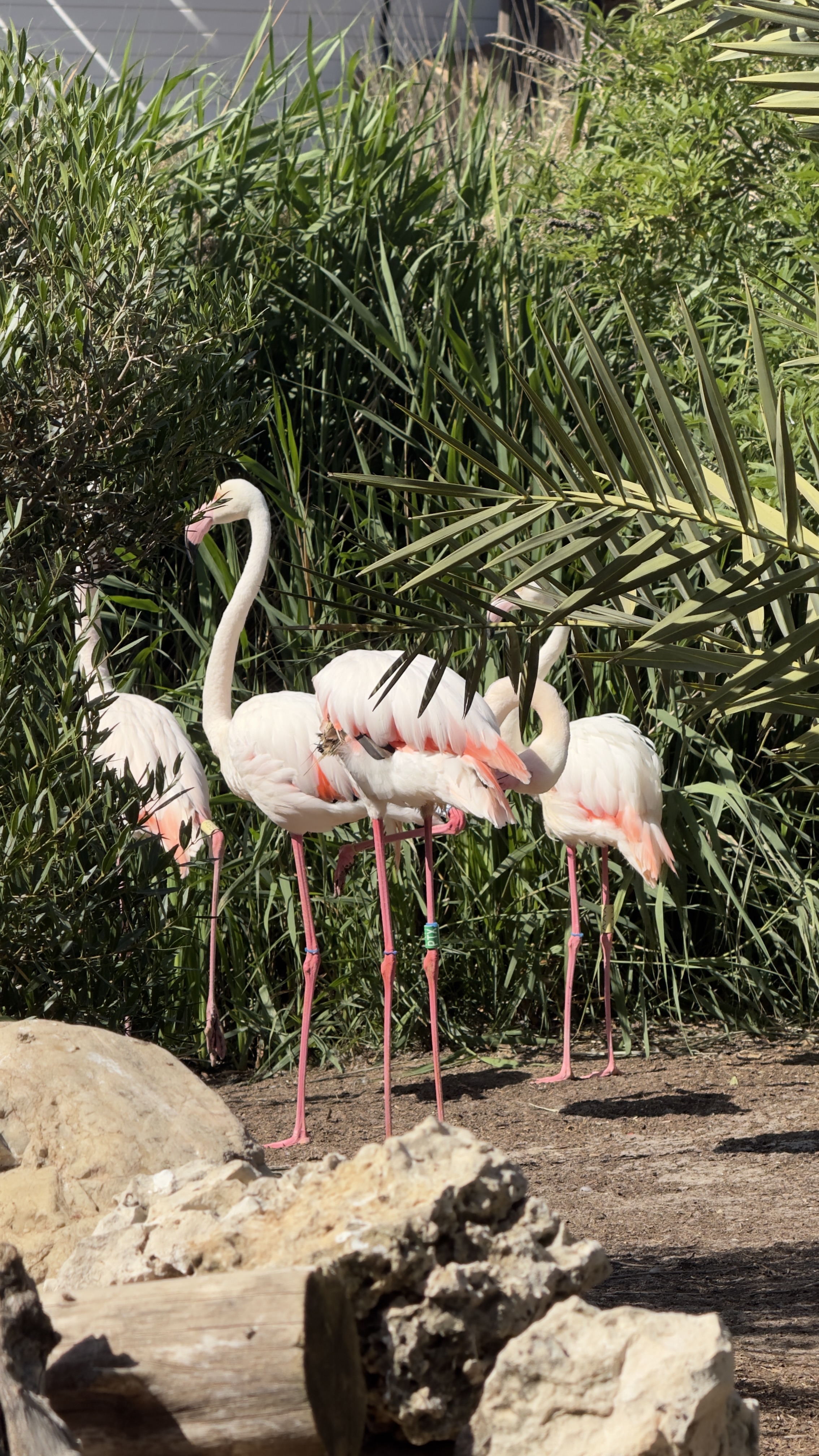 Zwischen Flamingos, Pelikanen und geheimnisvollen Tiefen