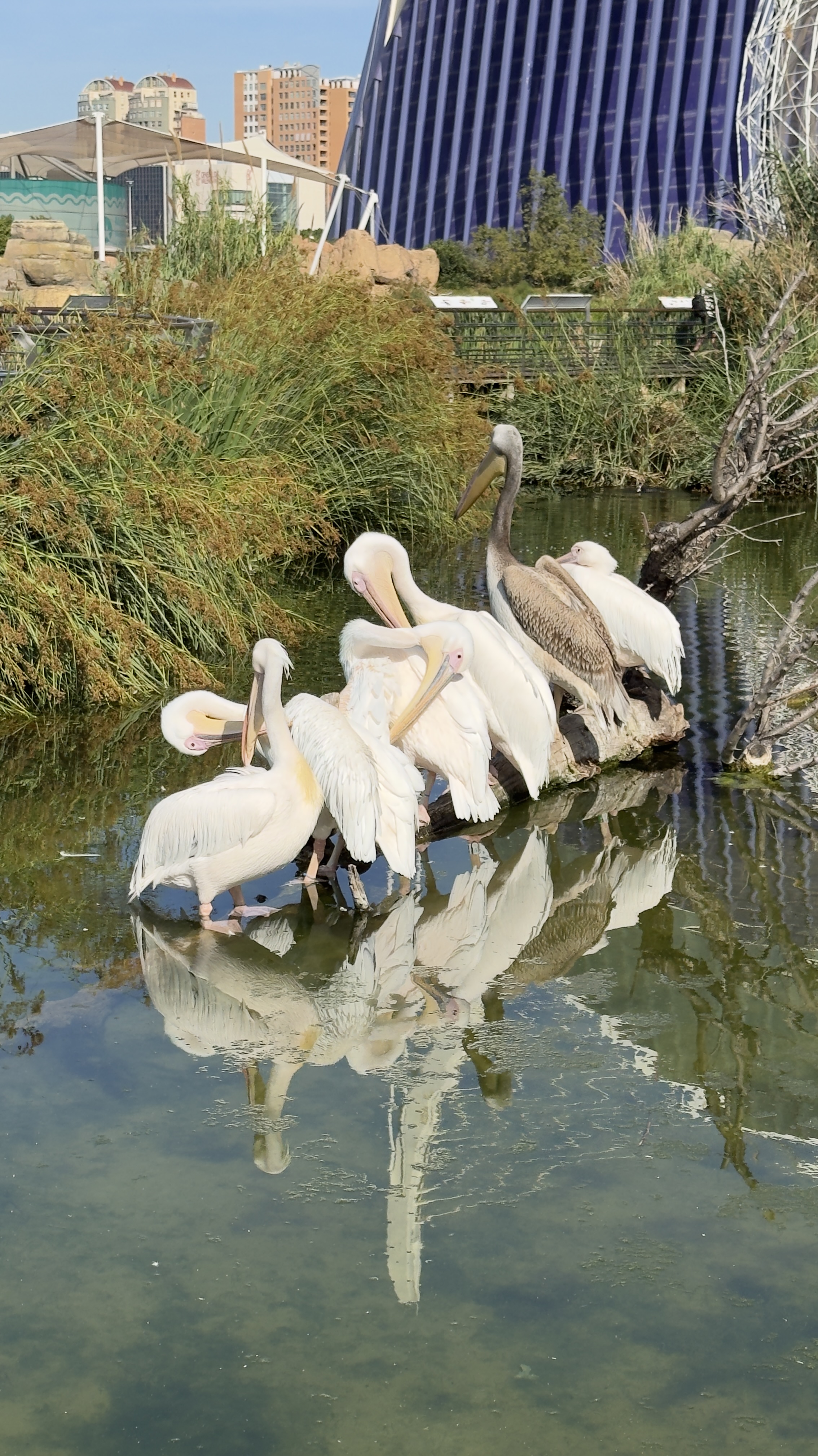 Zwischen Flamingos, Pelikanen und geheimnisvollen Tiefen
