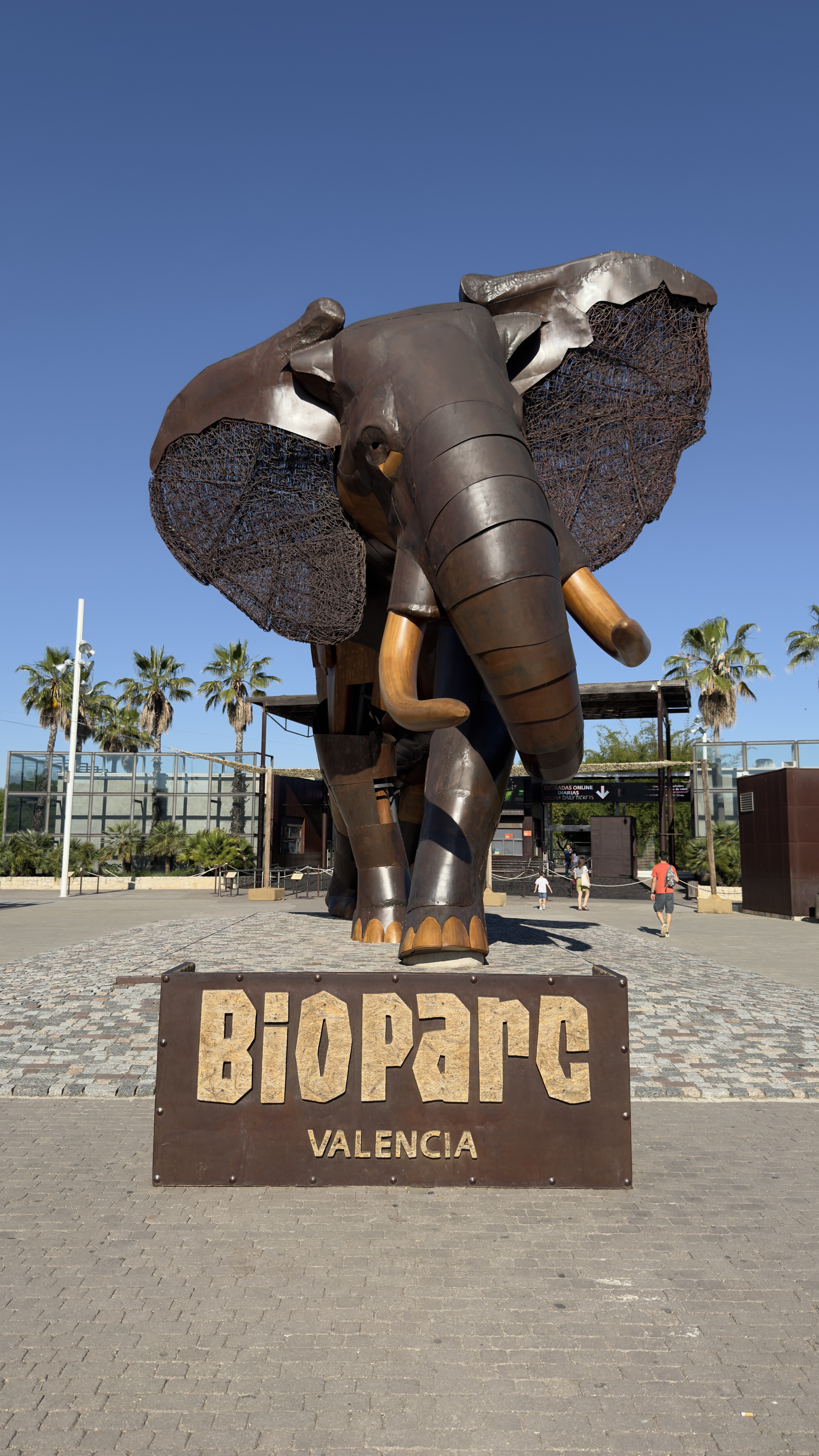 Ankunft im BIOPARC Valencia