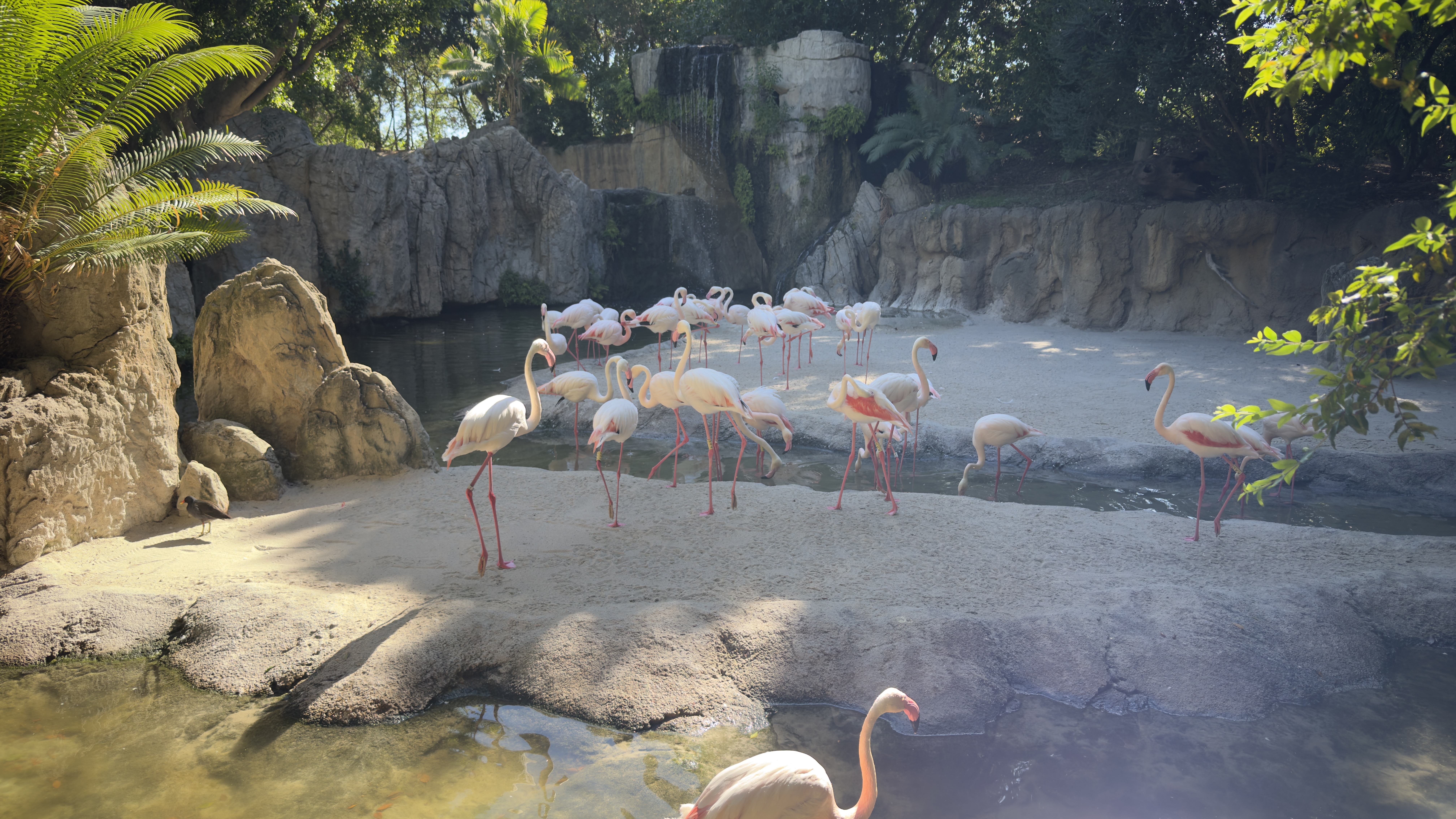Afrikas Tierwelt im BIOPARC Valencia