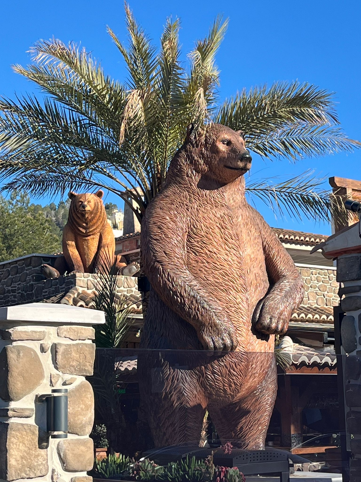Grizzly's world